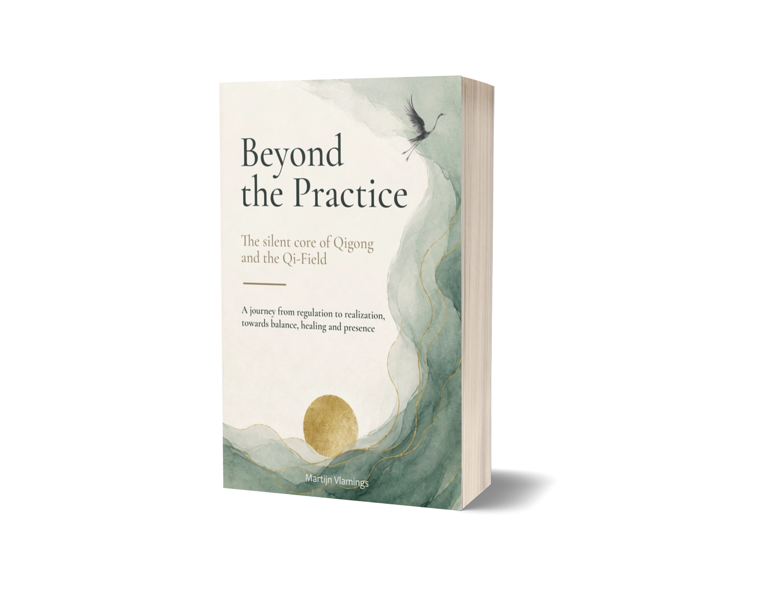 Beyond the Practice by Martijn Vlamings