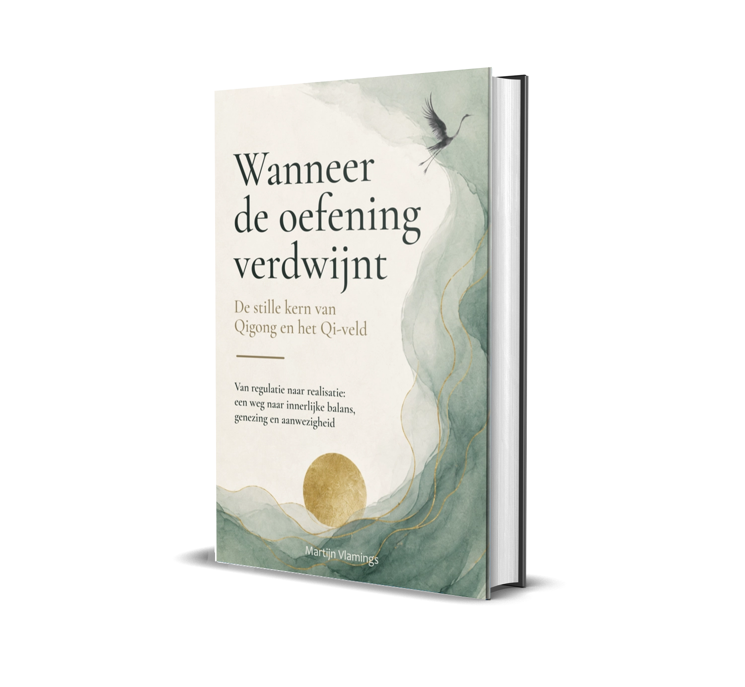 Qigong – Martijn Vlamings